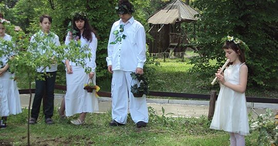 Kursevi za odrasle Pčelica D Škola stranih jezika